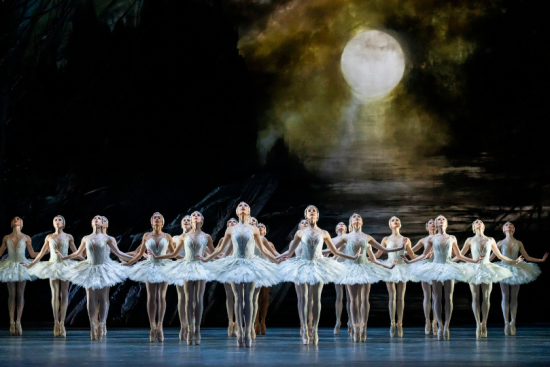 The-Spring-Autumn-2024-Programme-Images-Swan-Lake