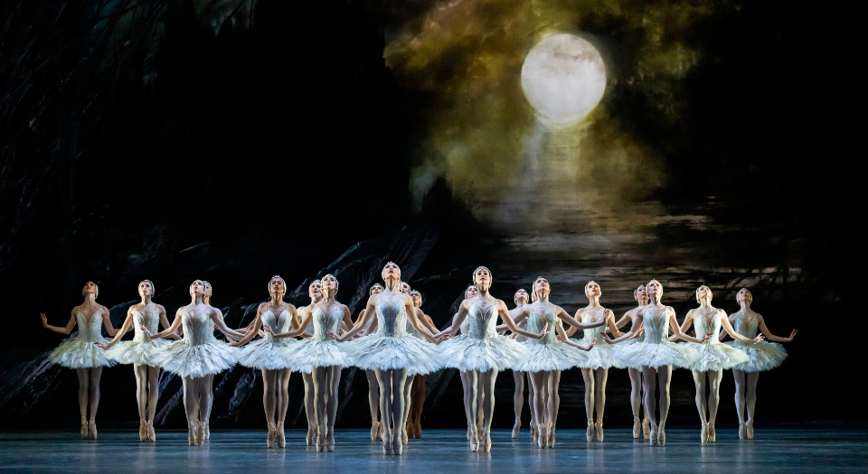 The-Spring-Autumn-2024-Programme-Images-Swan-Lake