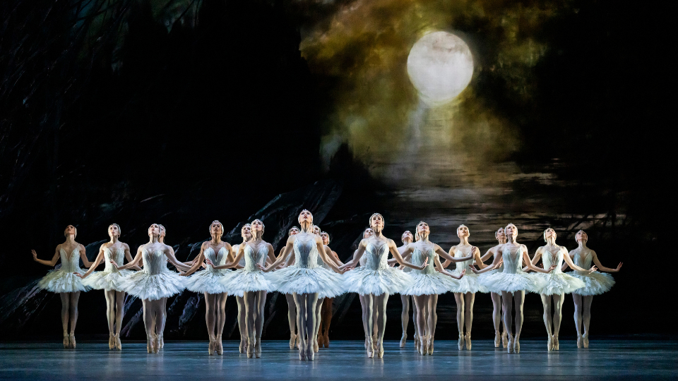 The-Spring-Autumn-2024-Programme-Images-Swan-Lake