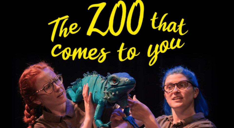 The Zoo that Comes to You - The Spring Spring 2025 Programme Images